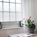 Exploring the Best One Way Privacy Window Film Options