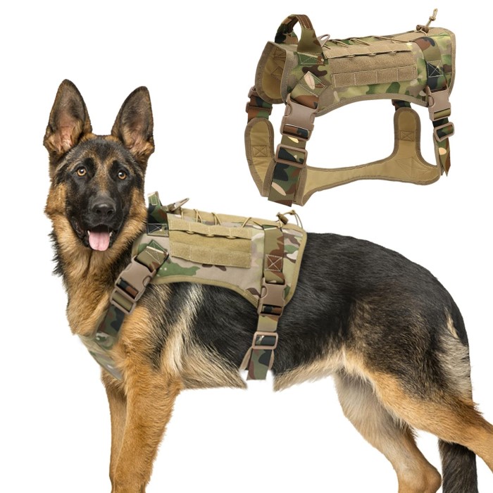 bulletproof dog vest