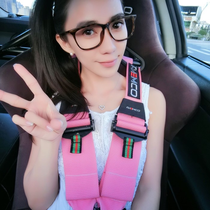 4 point harness seat belt