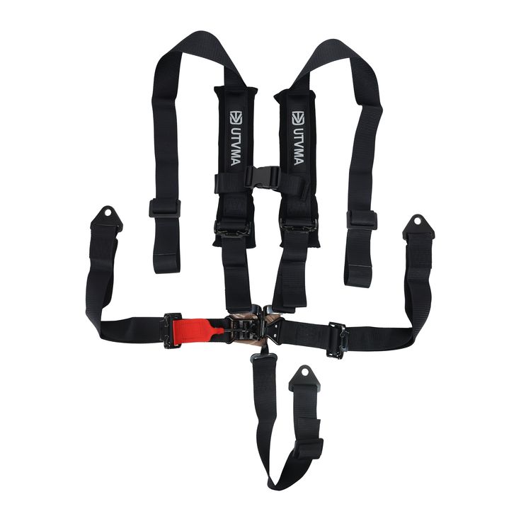 4 point harness seat belt