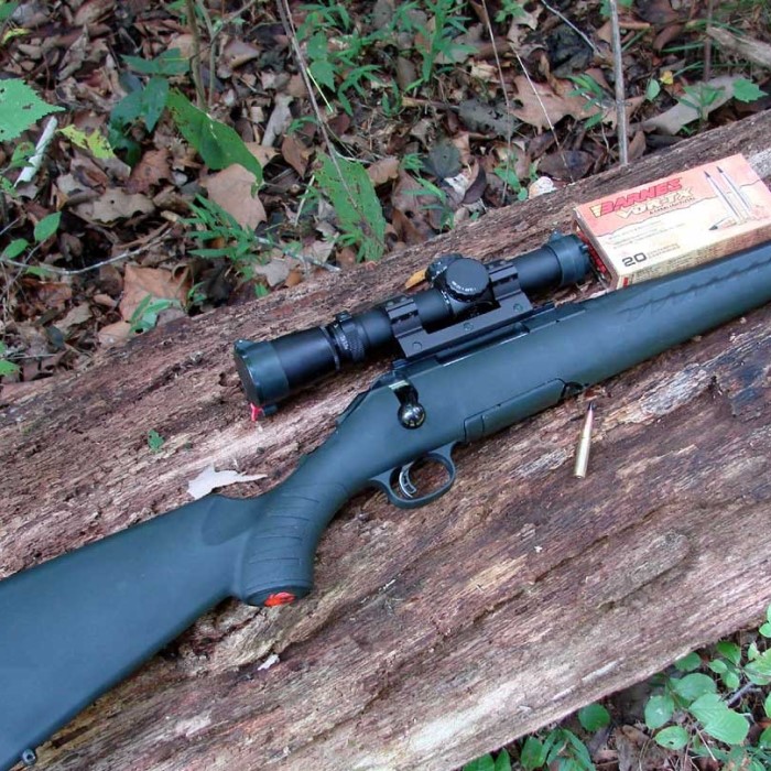 300 blackout hunting rifle