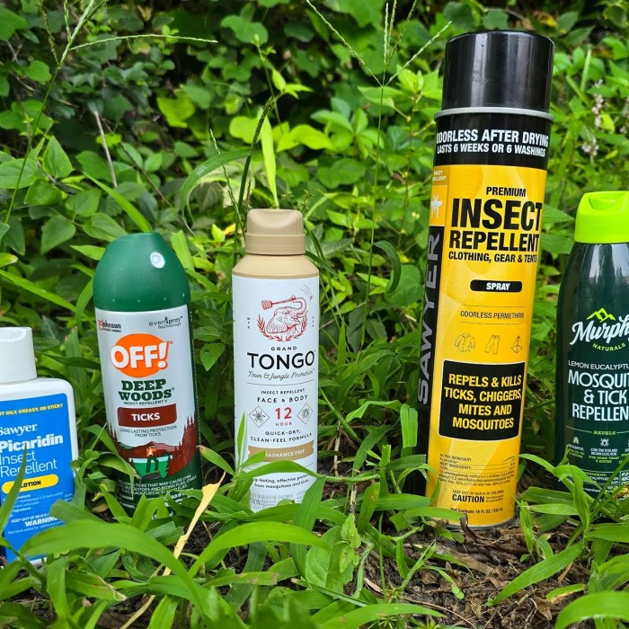 what is the best tick repellent for humans
