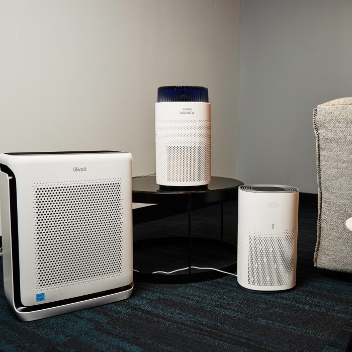 best air purifiers for smoke