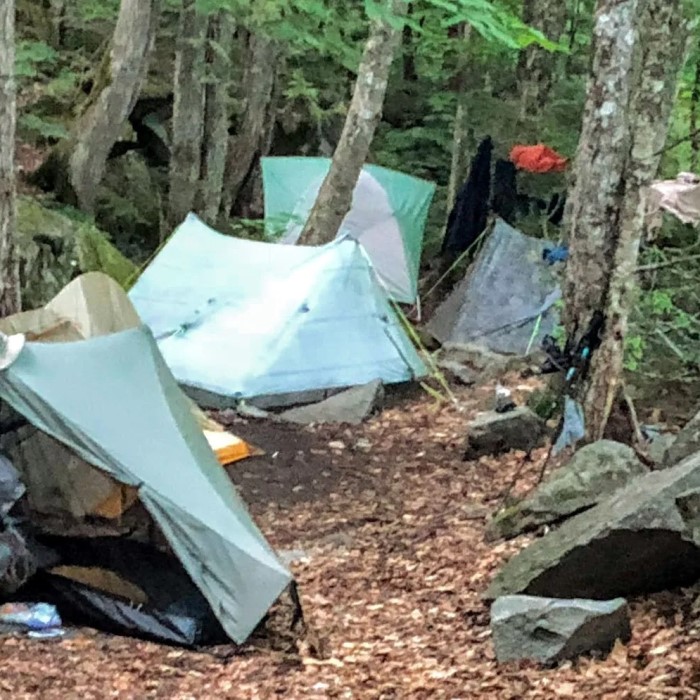 what is stealth camping