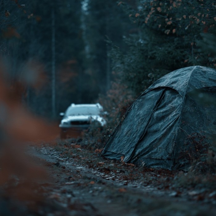 what is stealth camping