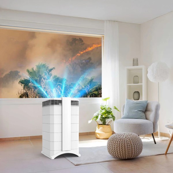 best air purifiers for smoke