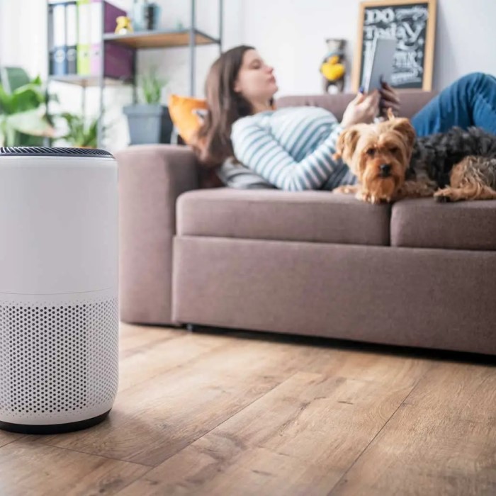 best air purifiers for smoke