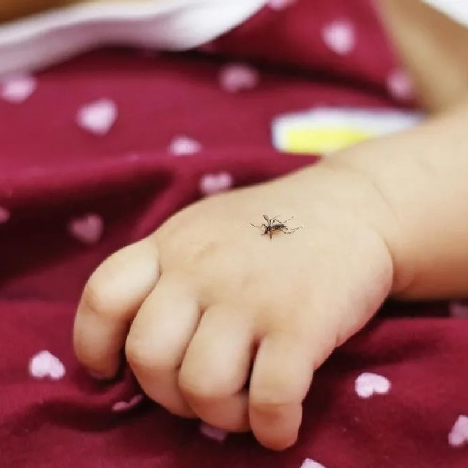 how many mosquito bites is dangerous